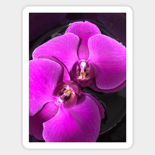 Floating Purple Orchid Magnet by Coco Traveler 